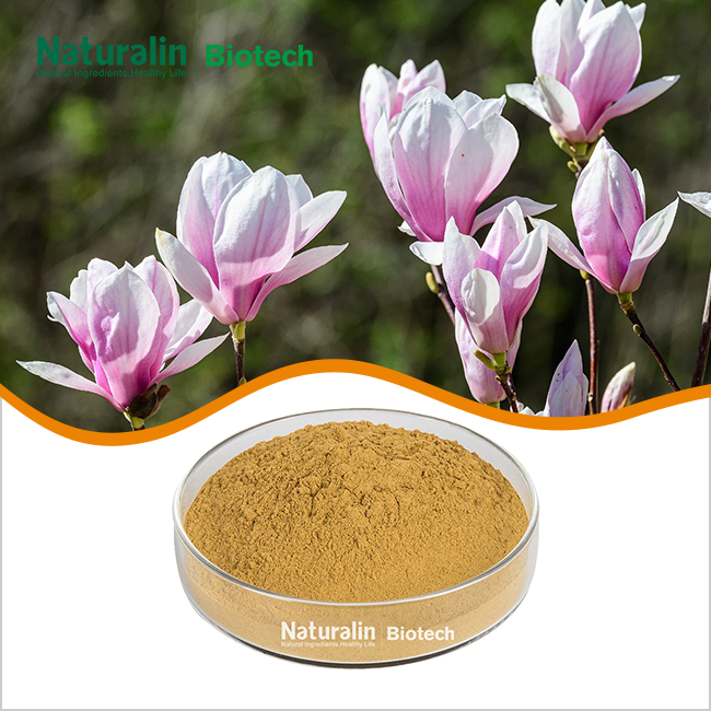 Magnolia Extract Powder